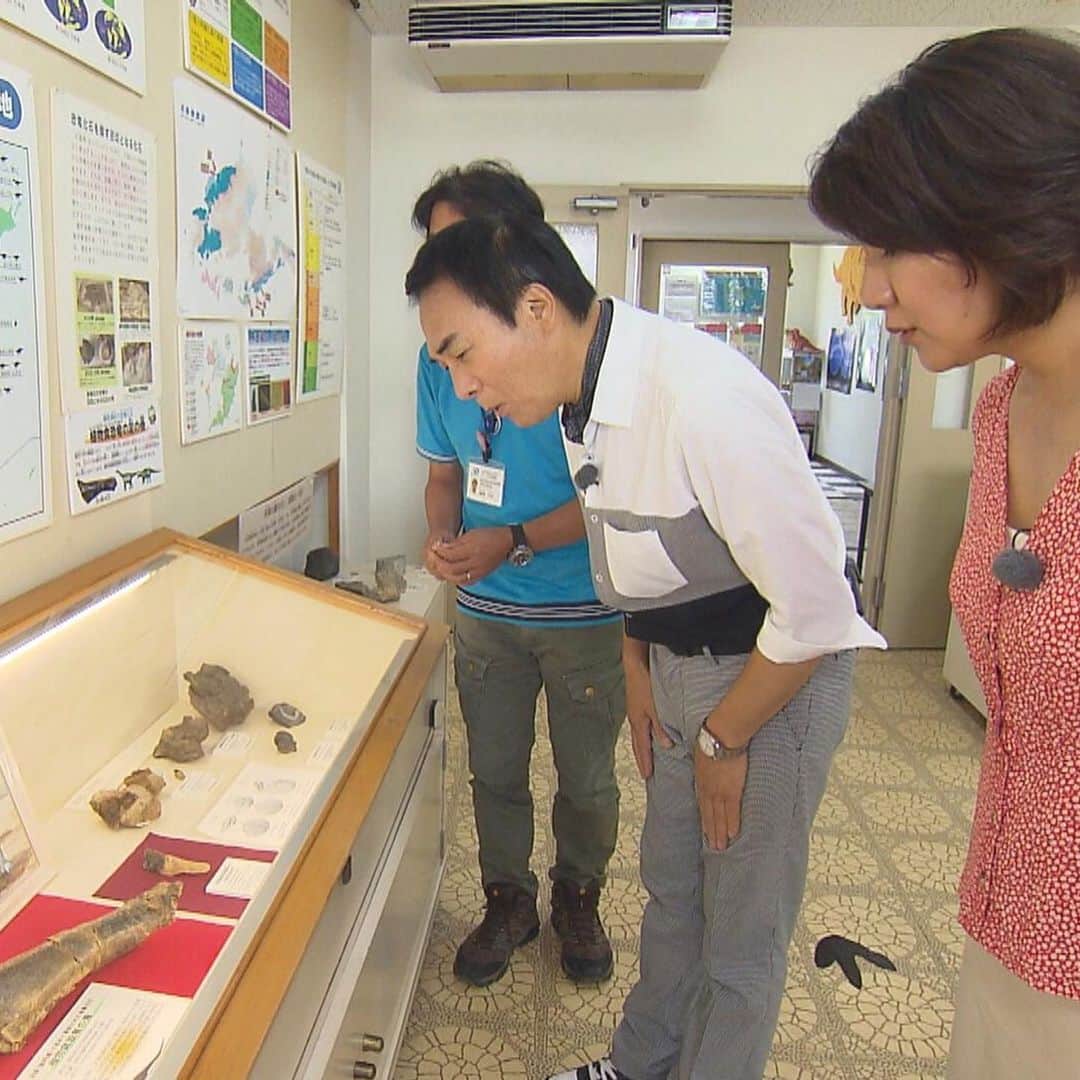 テレビ西日本「Cubetnc」さんのインスタグラム写真 - (テレビ西日本「Cubetnc」Instagram)「先週放送を告知したにもかかわらず 延期となっていた、 キューぶらり・“恐竜の島”編。 改めまして、放送が今週土曜日に決まりました！ * 今回のキューぶらりは、 熊本県天草諸島にある“恐竜の島”が舞台。 今から22年前、天草諸島の島のひとつ・ 御所浦島（ごしょうらじま）で、 初めて恐竜の足の化石が発見されました。 その後も貴重な化石が次々と見つかり、 “恐竜の島”御所浦島は、 全国的に有名になったんです。 まるで島全体が、恐竜の化石の博物館！ 今回は、 １億年前の恐竜時代に思いをはせながらぶらりします。 * 放送は今週土曜日、31日あさ10時25分からです。 お楽しみに！ * #角田華子 #宮本隆治 #元ＮＨＫアナウンサー #キューぶらり　#恐竜の島　#化石 #熊本県　#天草諸島　#御所浦島 #福岡NEWSファイルCUBE #田久保尚英 #テレビ西日本　#TNC」8月28日 16時49分 - cubetnc