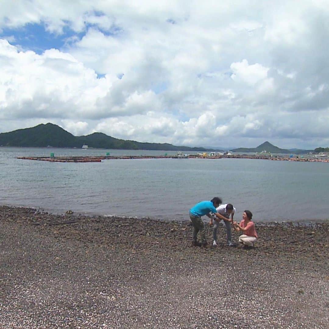 テレビ西日本「Cubetnc」さんのインスタグラム写真 - (テレビ西日本「Cubetnc」Instagram)「先週放送を告知したにもかかわらず 延期となっていた、 キューぶらり・“恐竜の島”編。 改めまして、放送が今週土曜日に決まりました！ * 今回のキューぶらりは、 熊本県天草諸島にある“恐竜の島”が舞台。 今から22年前、天草諸島の島のひとつ・ 御所浦島（ごしょうらじま）で、 初めて恐竜の足の化石が発見されました。 その後も貴重な化石が次々と見つかり、 “恐竜の島”御所浦島は、 全国的に有名になったんです。 まるで島全体が、恐竜の化石の博物館！ 今回は、 １億年前の恐竜時代に思いをはせながらぶらりします。 * 放送は今週土曜日、31日あさ10時25分からです。 お楽しみに！ * #角田華子 #宮本隆治 #元ＮＨＫアナウンサー #キューぶらり　#恐竜の島　#化石 #熊本県　#天草諸島　#御所浦島 #福岡NEWSファイルCUBE #田久保尚英 #テレビ西日本　#TNC」8月28日 16時49分 - cubetnc