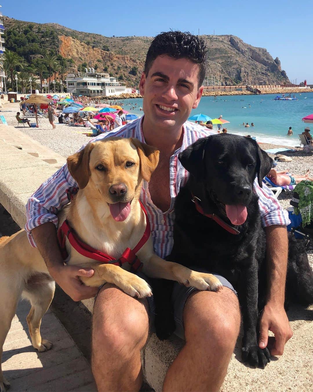 ハビエル・ラジャのインスタグラム：「Tongues out 🐶🐶」