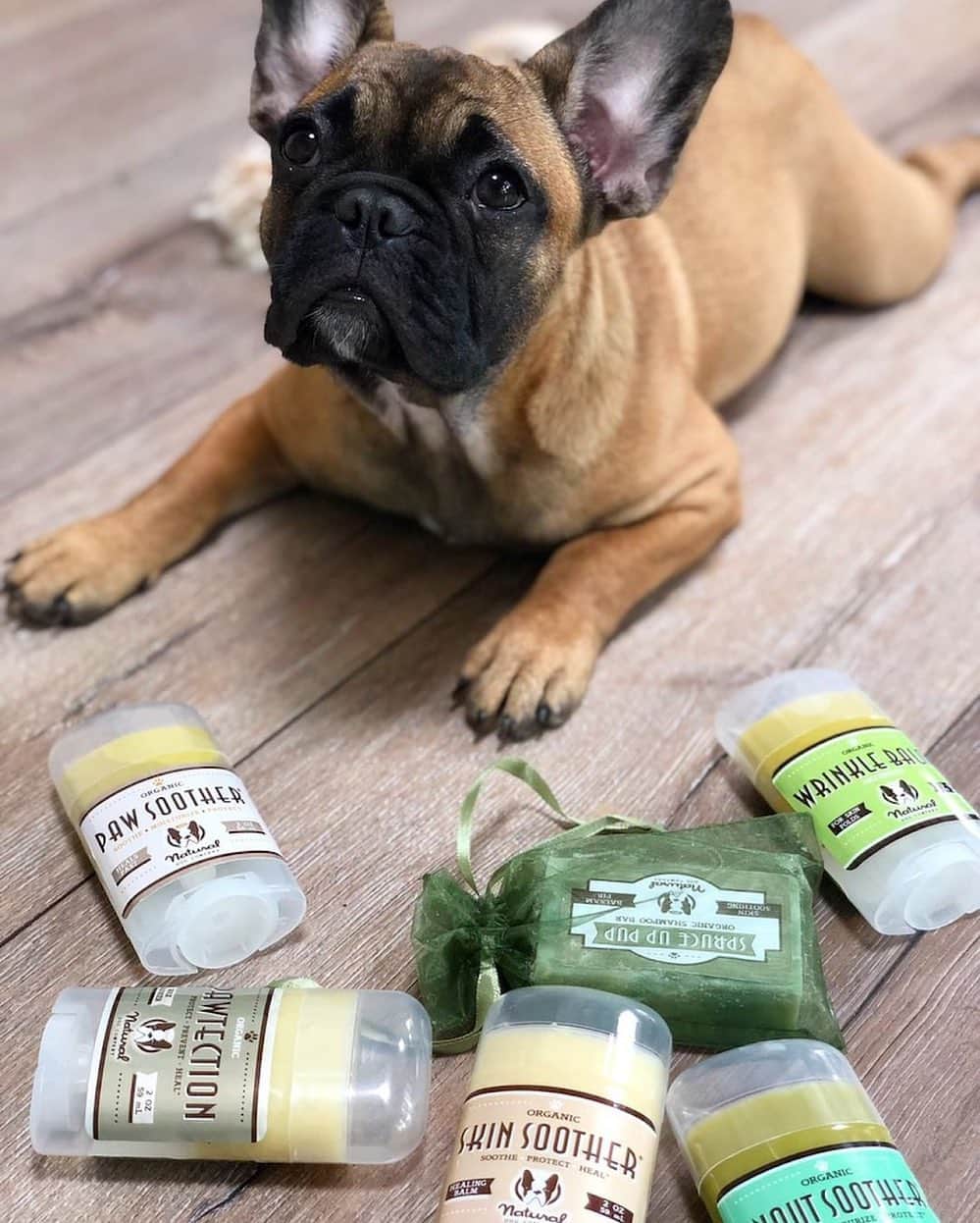 Regeneratti&Oliveira Kennelさんのインスタグラム写真 - (Regeneratti&Oliveira KennelInstagram)「Everyone always asks which products I recommend for Frenchies. @NaturalDogCompany is amazing because their products are 100% natural, pet-safe, organic, vegan, and actually WORK! They have stellar reviews and even come with a 120-day satisfaction guarantee (or your money back), so they’re definitely worth a try. . ⭐ Save 20% off @naturaldogcompany with code JMARCOZ at NaturalDog.com | worldwide shipping | ad 📷: @french_loona . . . . . . #puppy #puppylove #puppygram #puppyoftheday #puppylife #frenchbulldog #puppypalace #puppys #puppyface #puppies #puppiesofinstagram #frenchie #frenchiesofinstagram #frenchies #frenchielove #frenchieoftheday #frenchiegram #frenchielife #frenchiepuppy #frenchiesociety #frenchiesofig #frenchiestagram #frenchiebulldog #frenchielovers  #frenchbulldogofinstagram  #bullylove」8月28日 20時32分 - jmarcoz