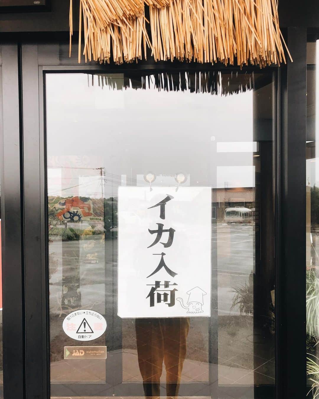 福内櫻子さんのインスタグラム写真 - (福内櫻子Instagram)「イカ入荷してます。 皆さんも是非。🦑 明太子もラーメンもいいけどイカも美味しいよ。 イカの刺身です。 新鮮のまま出してくれるので まだ動いてました🦑 下足の部分は後で天ぷらにしてくれます。 イカさん美味しかったよありがと。 . . . #福岡に帰って美味しいものしか食べてない #浅田真央ちゃんも来たところだって」8月28日 20時50分 - sakurako_fukuuchi