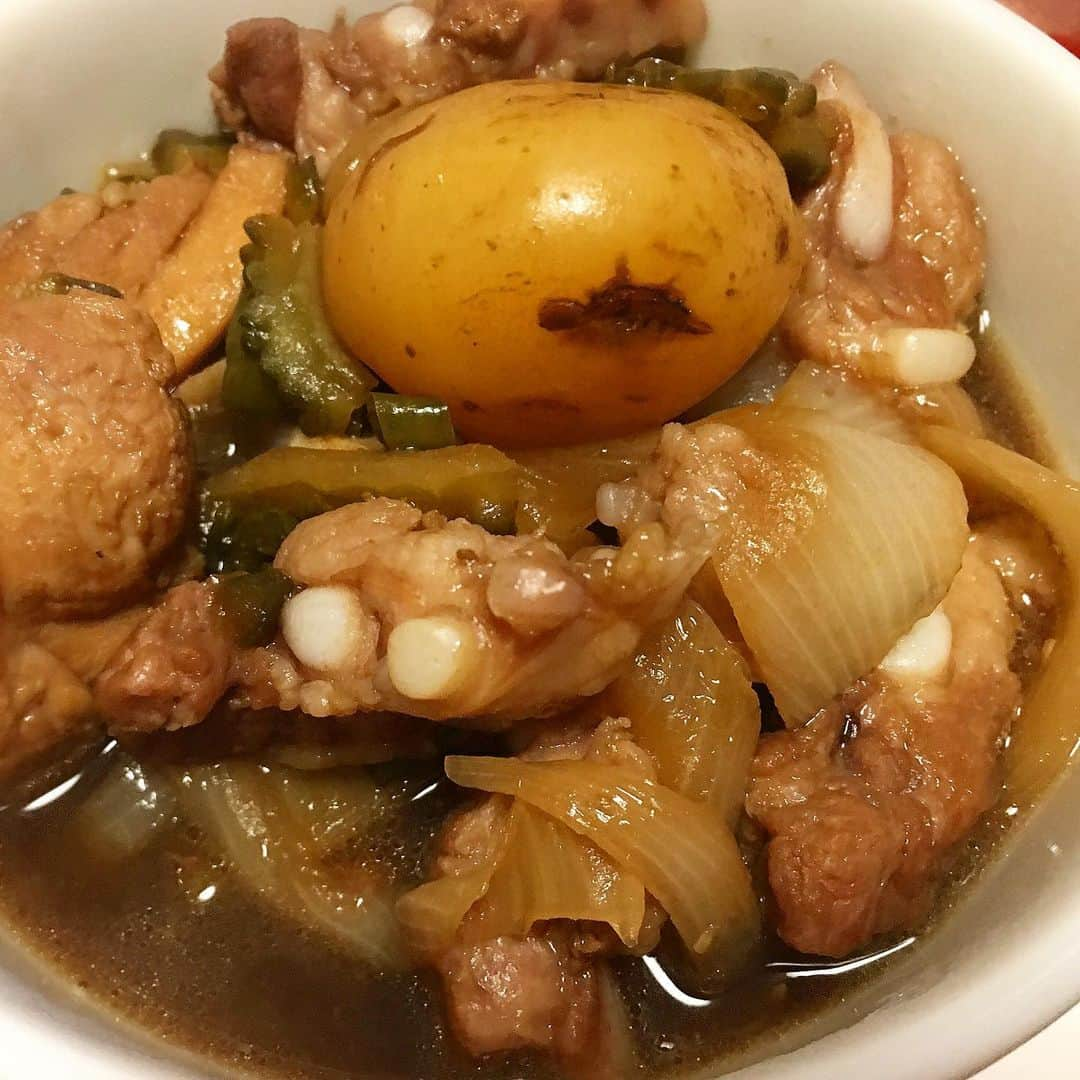 畑喜子さんのインスタグラム写真 - (畑喜子Instagram)「鶏肉と豚肉の軟骨の硬いのを玉ねぎとじゃがいもとゴーヤと唐辛子で煮込んだ‼️ #さけのあて  #さけのあてに最高」8月28日 20時54分 - carnelian_hata