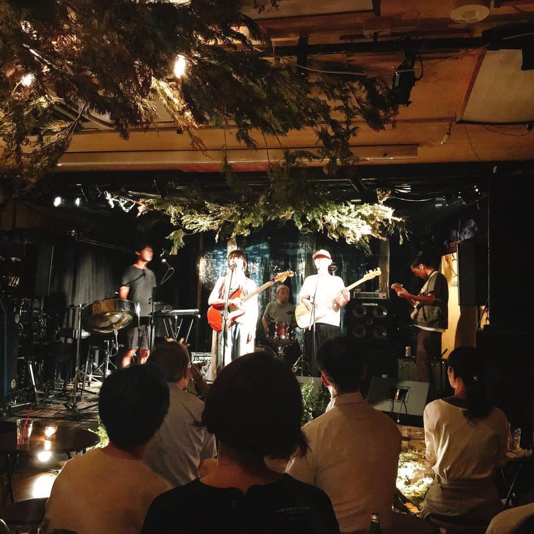 マル子のインスタグラム：「久しぶりにLive2連チャン🎶  8/27 晴れたら空に豆まいて 👾 #ぺぺカオリフォルニア 🤖 #児玉奈央  8/28 OASIS 🕊 #BIRD #マル子抱いたまま転んでお尻が痛い #マル子は無傷」