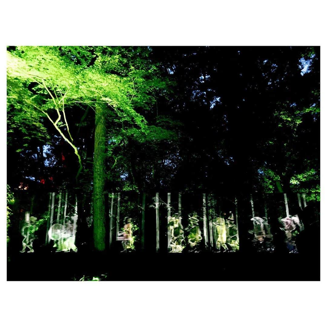大塚愛さんのインスタグラム写真 - (大塚愛Instagram)「下鴨神社 糺の森の光の祭 Art by teamLab - TOKIO インカラミ  私は私を無にする。 それがとても心地よかった。  AIO　#japan #art #teamlab #チームラボ  #京都 #kyoto #下鴨神社」8月28日 22時05分 - aiotsuka_official