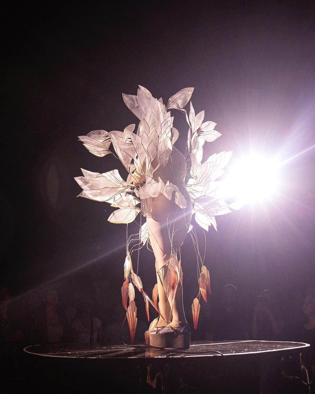 Iris Van Herpeさんのインスタグラム写真 - (Iris Van HerpeInstagram)「The angelic Björk blooming on stage during her moving performance of 'Future Forever' in Mexico City. We are truly honored to be a part of her new mind-bending 'Cornucopia' show.  Mask by @James.t.merry  #irisvanherpen #cornucopia #bjork」8月28日 22時42分 - irisvanherpen