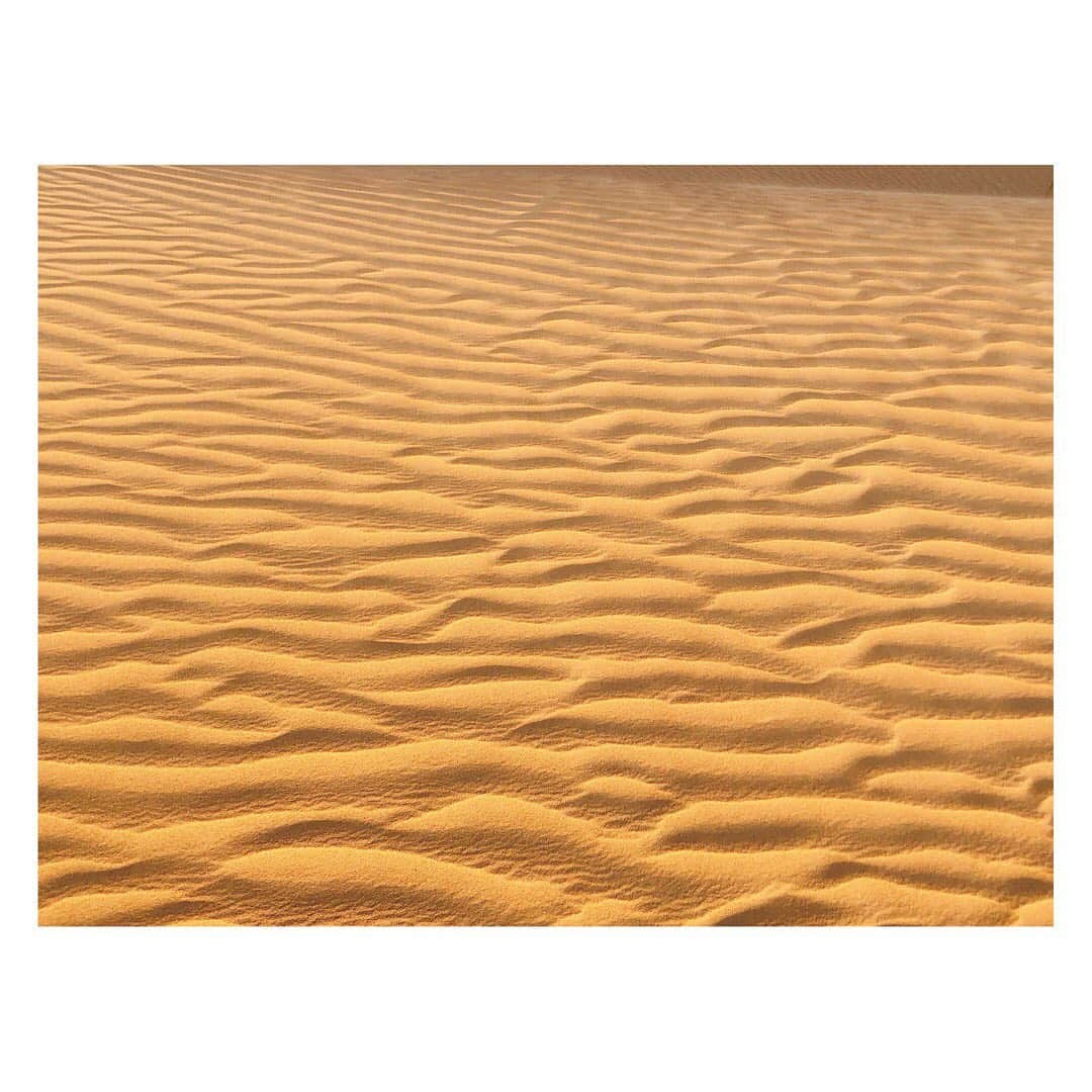 植田早紀さんのインスタグラム写真 - (植田早紀Instagram)「I was impressed by  the power of nature in Dubai dessert.  一面の砂漠。自然の力に感動。 ・ ・ #dessertsafari #dubai #unitedarabemirates」8月28日 23時39分 - sakipersil