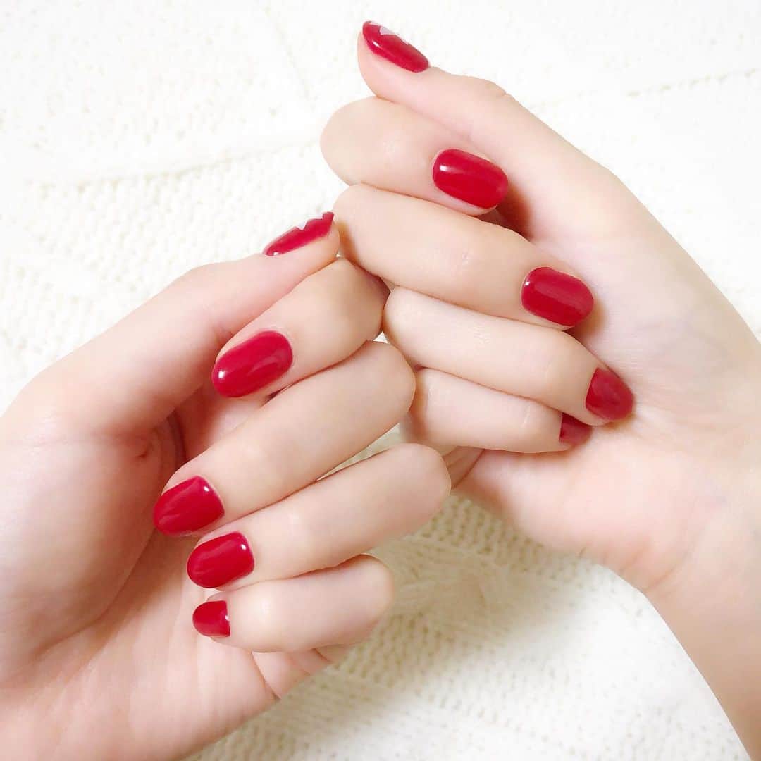 こうやもゆさんのインスタグラム写真 - (こうやもゆInstagram)「8/27にネイル変えてきました。 . 久しぶり(去年10月ぶり！)の真っ赤なネイル。 親指だけ、白いお花を描いてもらいました。 . . . . . .  #つめ #爪 #ネイル #ネイルサロン #ネイル💅 #ネイル画像 #💅 #ネイルデザイン #ネイルカラー #ネイル💅チェンジ #ソフトジェル #ジェルネイル #ワンカラー #ワンカラーネイル #赤ネイル #赤ネイル💅 #赤ワンカラー #赤ワンカラーネイル #赤いネイル」8月28日 23時49分 - 1001moyu