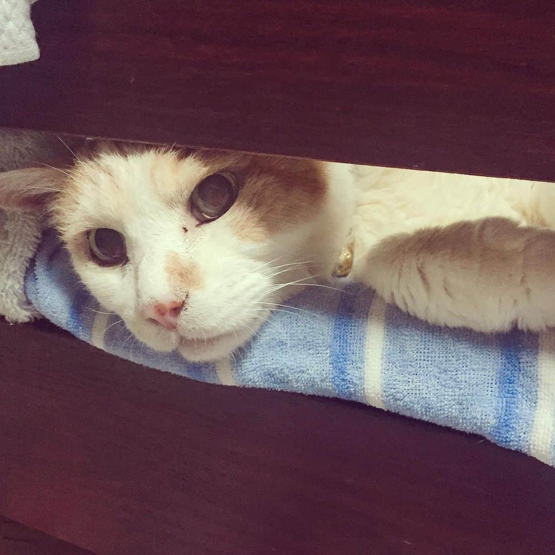 小林由佳のインスタグラム