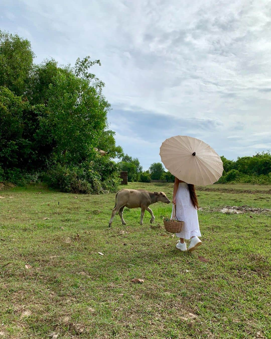 Laraさんのインスタグラム写真 - (LaraInstagram)「A 2 month old baby water buffalo, Kompulo lives in this hotel . . このホテルに住んでる水牛の赤ちゃん、コンプロ。 ここで 2ヶ月前に産まれたんだって🥰 #larasummerholiday #シェムリアップ #カンボジア」8月29日 0時18分 - fa_la_lara