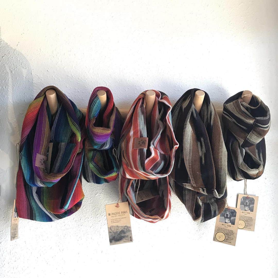 Dogs by Ginaのインスタグラム：「The hippest scarf your dog will own. @pacificpaws 🐾  Stop by and grab yours now!」