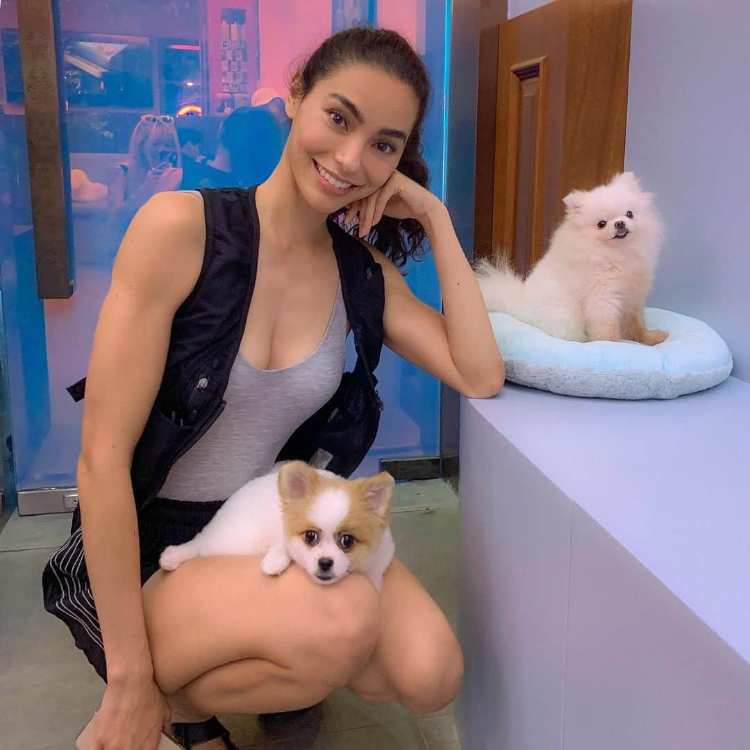 エイドリアン・ホーさんのインスタグラム写真 - (エイドリアン・ホーInstagram)「🐶 🐕 😊」8月29日 11時58分 - adrianneho