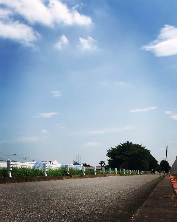 Ju-kenのインスタグラム：「仕事の合間に気晴らしライド🏍💨 も少し涼しくなったら、ゴキゲンだろーなぁ♫  オマケ:冷え冷えの部屋で半目を開けながら寝ちゃうアポ🐷  #harleydavidson #shovelhead #chopper  #frenchbulldog #apollo #sleepingwithhiseyesopen」