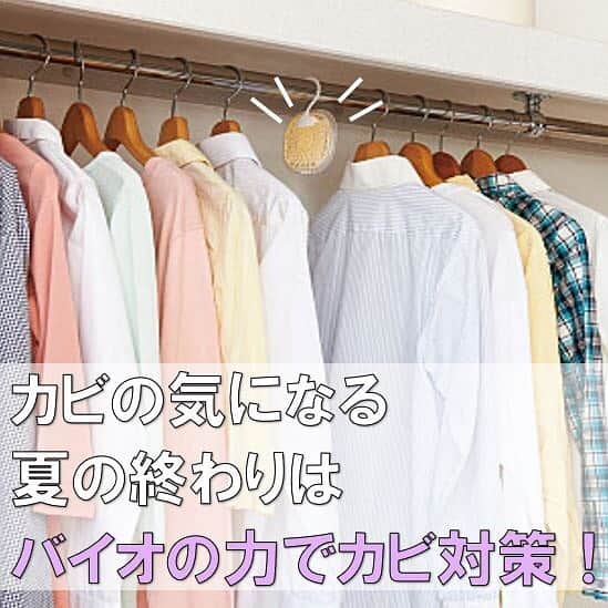 通販のセシール(cecile) のインスタグラム：「バイオの力でカビを抑制！気になる臭いも抑えてくれる優れもの。 浴室や押し入れなど、カビが気になる夏の終わりにはピタッと貼り付けるだけで、カビの繁殖を抑えてくれます。 ◼️ハイパワーバイオ カビキレイ ・品番:WF-4374 ・価格:1,058円～  詳しくはプロフィール掲載のURLからセシールオンラインショップへ♪ 気になる商品の品番を検索してください。 #かび対策 #浴室かび対策 #押し入れかび対策 #エアコンかび対策 #カビ対策 #湿気対策 #バイオ #清潔アイテム #便利グッズ #消臭 #防臭 #クローゼットかび対策 #CECILE #セシール」