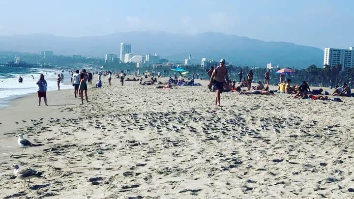 渋谷慶一郎のインスタグラム：「ナショジオ風の動画をお届けします。 Movie like a National geography Scary kawaii..lol calm and relax 🤙」