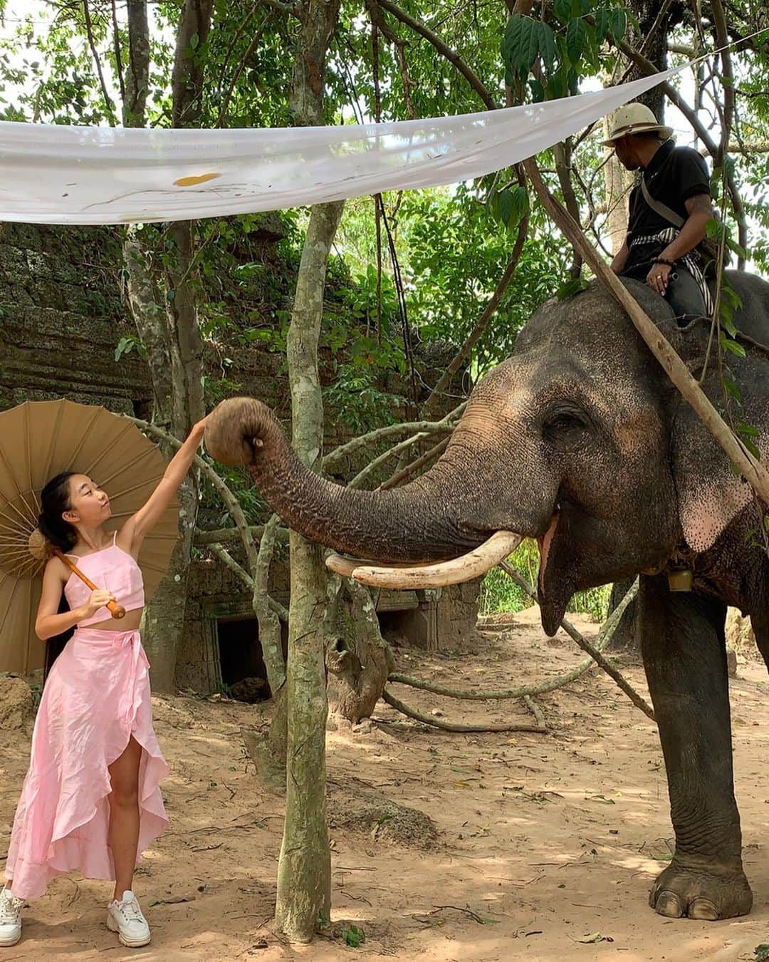 Laraさんのインスタグラム写真 - (LaraInstagram)「. . Picnic lunch and the ruins 😋The lovely elephant Ranbai came to say hello as well!  #cambodia . . 遺跡を見ながら ピクニックタイム。 ゾウのランバイも遊びに来てくれた。 🌿を食べるヤギ達もかわいかったよ🐐 . #larasummerholiday #カンボジア #シェムリアップ」8月29日 4時32分 - fa_la_lara