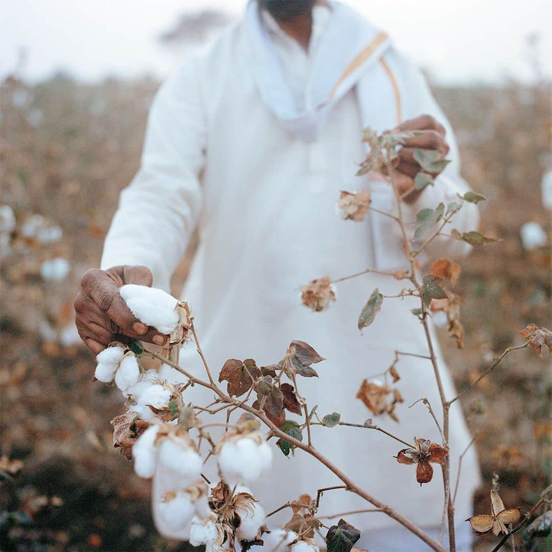 ZARAさんのインスタグラム写真 - (ZARAInstagram)「TRFXJOINLIFE THE OCA PROJECT In collaboration with other sector organisations, we are one of the founding partners of the Organic Cotton Accelerator (OCA), an initiative supporting ecologically grown cotton farmers to ensure that the ecologically grown cotton sector grows in a sustainable way that benefits everyone - from farmer to consumer #joinlife #trfxjoinlife #organiccotton #oca @ocaccelerator」8月29日 4時42分 - zara