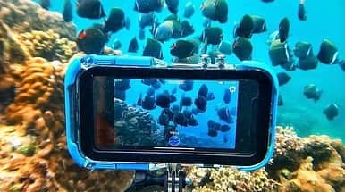 WildLifeのインスタグラム：「***GIVEAWAY TIME*** Want a FREE ProShotCase to film your underwater adventures with your iPhone?! Instagram Giveaway with ProShotCase, Coolie Surf Apparel, and Lume Cube... starts NOW! . . The Winner will receive the Prizes below: 1) ProShotCase with a floating hand grip and travel case! 2) Lume Cube - The best solution for underwater lighting! 3) $100 credit to Cooliesurf.com for bathing suits, rash guards, and sun shirts! . Please follow the steps below to enter: 1) Follow @ProShotCase on Instagram 2) Tag three of your friends, in the comments section, on @ProShotCase's Giveaway post, and like the Giveaway post too! 3) Follow Cooliesurf on Instagram: @coolie_surf . . *Bonus Entry* Re-post the @proshotcase Giveaway post to your own Instagram account. Make sure to include #proshotcase on your post so we can find it! . Giveaway Winner will be announced on Friday, August 30th. GOOD LUCK!」
