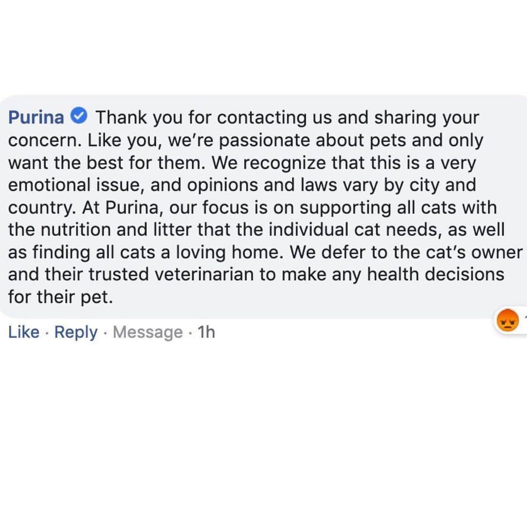 City the Kittyさんのインスタグラム写真 - (City the KittyInstagram)「Dear @purina , If you care about all the money you are making from declawing OVER the welfare of all the cats who are having this inhumane and barbaric amputation procedure, then keep writing this generic and insulting response to us. 😾😾😾😾 Learn Purina, learn. Declawing vets can't be trusted since they are harming the health and well-being of cats like this. Declawing is NOT a health decision.  Declawing is NOT an emotional issue, it is WRONG and is ANIMAL CRUELTY. Declawing is mutilating and always harmful to the long-term health and well-being of a cat. This is a FACT and not an opinion!  Purina, know better and then do better! 😾😾😾😾 If you aren't aware of this, Purina makes millions of $ each year from this animal cruelty because most declawing vets recommend, use, and sell Purina's Yesterday's News Litter for all their declawed cats. Please take 60 seconds and sign our petition to Purina. Also please ask them if they will do their part to help end this cat cruelty instead of staying neutral and profiting from it. Send us the response they give you. citythekitty@gmail.com Our petition is on the link on our Instagram bio. 👍🏻 @purinacatchow @friskies @purinaonecat #Purina #care #dosomething #Declawing is #animalcruelty」8月29日 6時33分 - citythekitty