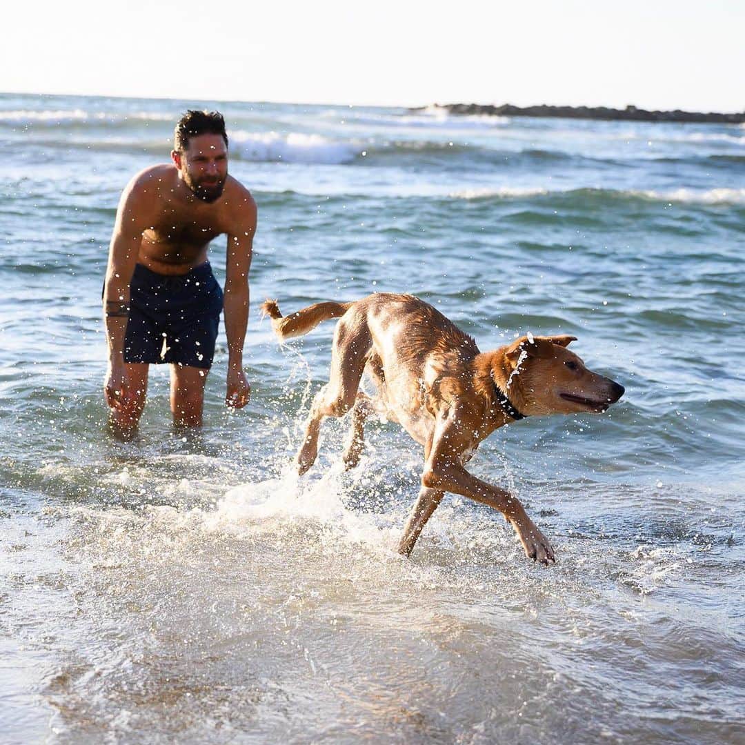 The Dogistさんのインスタグラム写真 - (The DogistInstagram)「Lucas, mix (9 m/o), Hilton Beach, Tel Aviv, Israel • “He likes everybody but he doesn’t like swimming.”」8月29日 6時55分 - thedogist