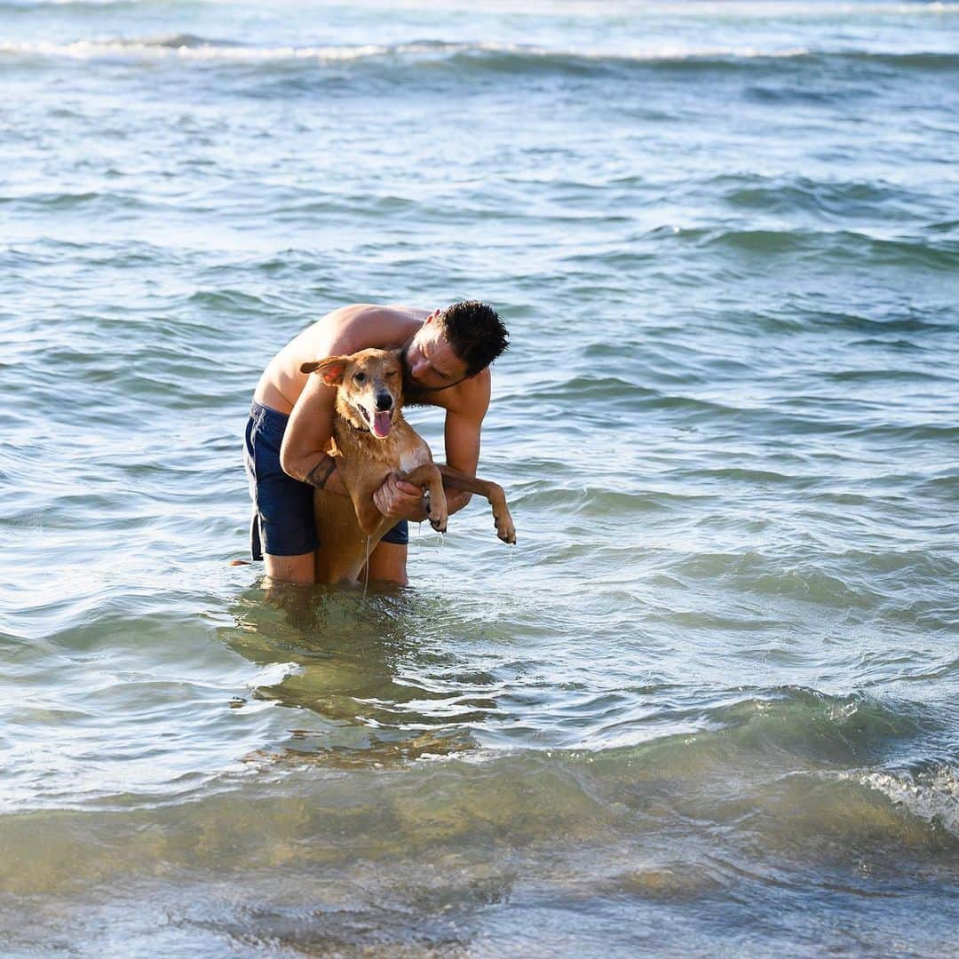 The Dogistさんのインスタグラム写真 - (The DogistInstagram)「Lucas, mix (9 m/o), Hilton Beach, Tel Aviv, Israel • “He likes everybody but he doesn’t like swimming.”」8月29日 6時55分 - thedogist