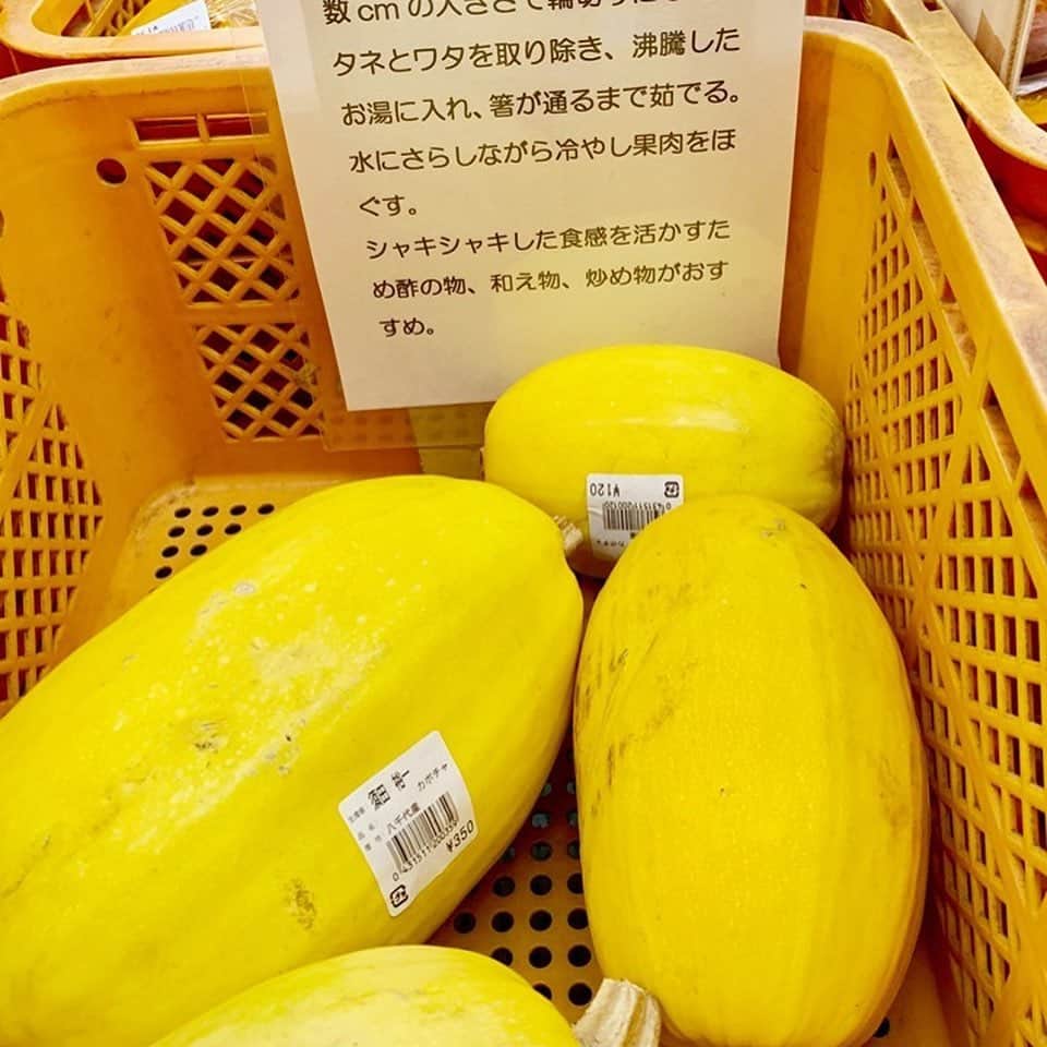 道の駅やちよさんのインスタグラム写真 - (道の駅やちよInstagram)「クラフト直売所から ＼新鮮採れたて情報／ おはようございます！ 今日も葉生姜が大量に入荷してます～！ 葉生姜の肉巻きがおすすめです！お試しあれ～！ ■八千代産「葉生姜」 ■八千代産「栗」 ■八千代産「そうめんかぼちゃ」 是非！道の駅やちよの直売所クラフトへ！  #やちよ農業交流センター﻿ #落花生収穫体験﻿ #道の駅﻿ #道の駅八千代﻿ #道の駅やちよ﻿ #八千代市﻿ #農業交流センター﻿ #ふるさとステーション﻿ #農業﻿ #直売所﻿ #野菜﻿ #アイス﻿ #花﻿ #レストラン﻿ #千葉﻿ #八千代﻿ #佐倉﻿ #印西﻿ #船橋﻿ #習志野﻿ #新川﻿ #ロードバイク﻿ #サイクリングロード﻿ #料理教室﻿ #農家﻿ #道の駅好きな人と繋がりたい﻿」8月29日 9時29分 - michinoeki_yachiyo090720