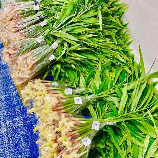 道の駅やちよさんのインスタグラム写真 - (道の駅やちよInstagram)「クラフト直売所から ＼新鮮採れたて情報／ おはようございます！ 今日も葉生姜が大量に入荷してます～！ 葉生姜の肉巻きがおすすめです！お試しあれ～！ ■八千代産「葉生姜」 ■八千代産「栗」 ■八千代産「そうめんかぼちゃ」 是非！道の駅やちよの直売所クラフトへ！  #やちよ農業交流センター﻿ #落花生収穫体験﻿ #道の駅﻿ #道の駅八千代﻿ #道の駅やちよ﻿ #八千代市﻿ #農業交流センター﻿ #ふるさとステーション﻿ #農業﻿ #直売所﻿ #野菜﻿ #アイス﻿ #花﻿ #レストラン﻿ #千葉﻿ #八千代﻿ #佐倉﻿ #印西﻿ #船橋﻿ #習志野﻿ #新川﻿ #ロードバイク﻿ #サイクリングロード﻿ #料理教室﻿ #農家﻿ #道の駅好きな人と繋がりたい﻿」8月29日 9時29分 - michinoeki_yachiyo090720