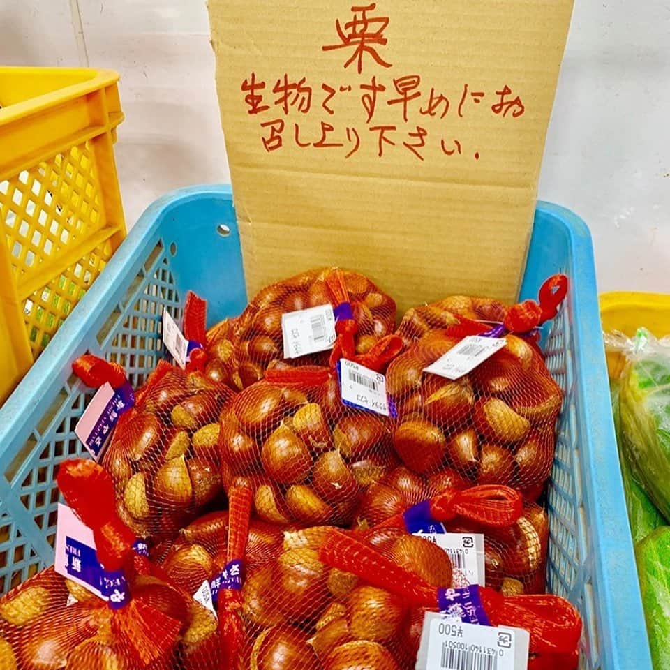 道の駅やちよさんのインスタグラム写真 - (道の駅やちよInstagram)「クラフト直売所から ＼新鮮採れたて情報／ おはようございます！ 今日も葉生姜が大量に入荷してます～！ 葉生姜の肉巻きがおすすめです！お試しあれ～！ ■八千代産「葉生姜」 ■八千代産「栗」 ■八千代産「そうめんかぼちゃ」 是非！道の駅やちよの直売所クラフトへ！  #やちよ農業交流センター﻿ #落花生収穫体験﻿ #道の駅﻿ #道の駅八千代﻿ #道の駅やちよ﻿ #八千代市﻿ #農業交流センター﻿ #ふるさとステーション﻿ #農業﻿ #直売所﻿ #野菜﻿ #アイス﻿ #花﻿ #レストラン﻿ #千葉﻿ #八千代﻿ #佐倉﻿ #印西﻿ #船橋﻿ #習志野﻿ #新川﻿ #ロードバイク﻿ #サイクリングロード﻿ #料理教室﻿ #農家﻿ #道の駅好きな人と繋がりたい﻿」8月29日 9時29分 - michinoeki_yachiyo090720