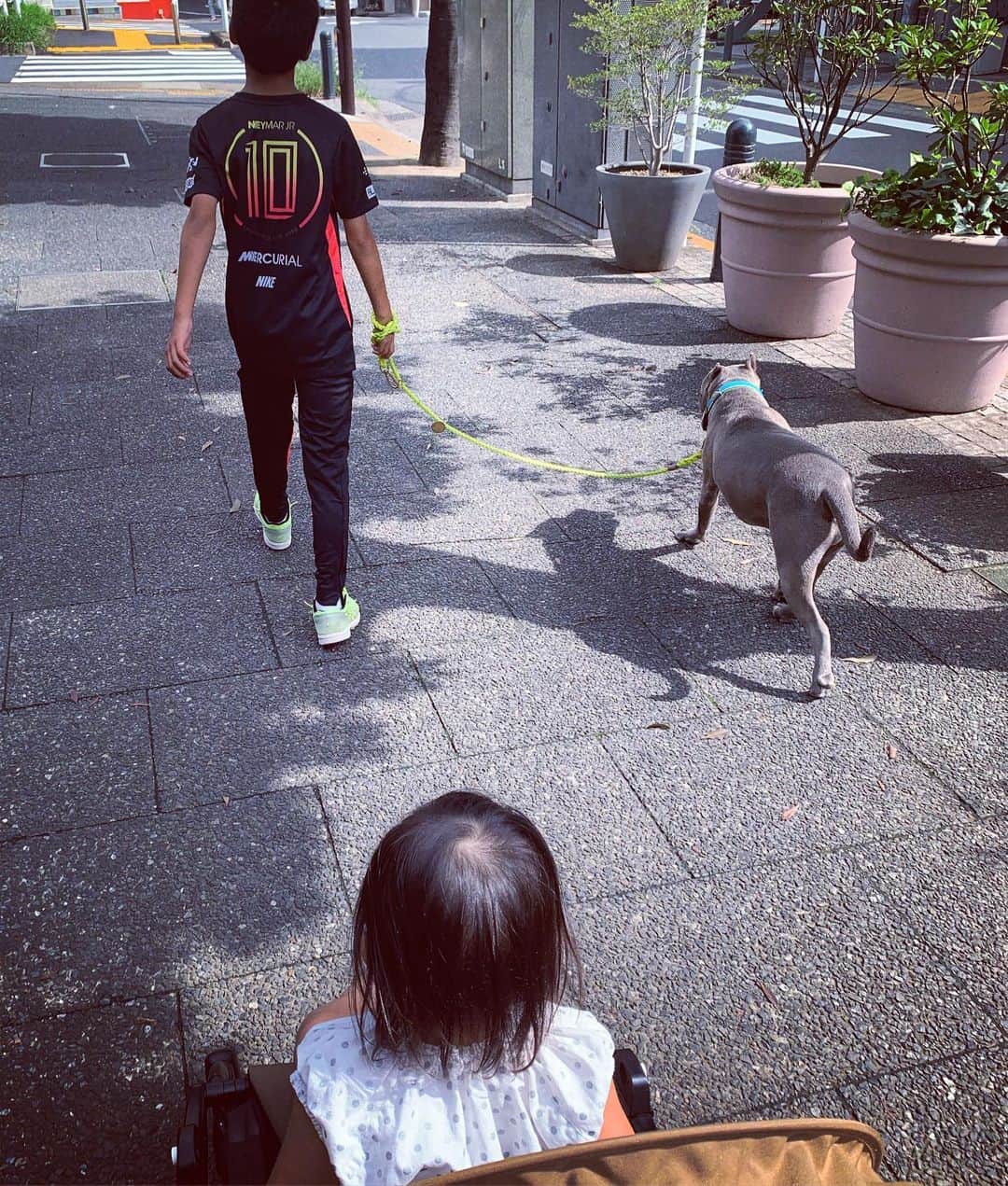 鈴木六夏さんのインスタグラム写真 - (鈴木六夏Instagram)「お仕事前にQを送り、ビコを散歩。 暑いね〜😆💦💦と叫びながら。 朝はお兄と軽い親子喧嘩ももちろんあり🤣 そんなワチャワチャも、楽し♡」8月29日 11時11分 - rikuka.62