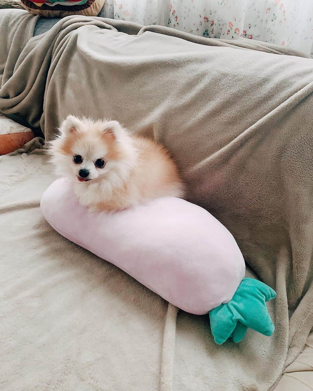 r_oseのインスタグラム：「🥔 on 🍆 #veggieoverload」
