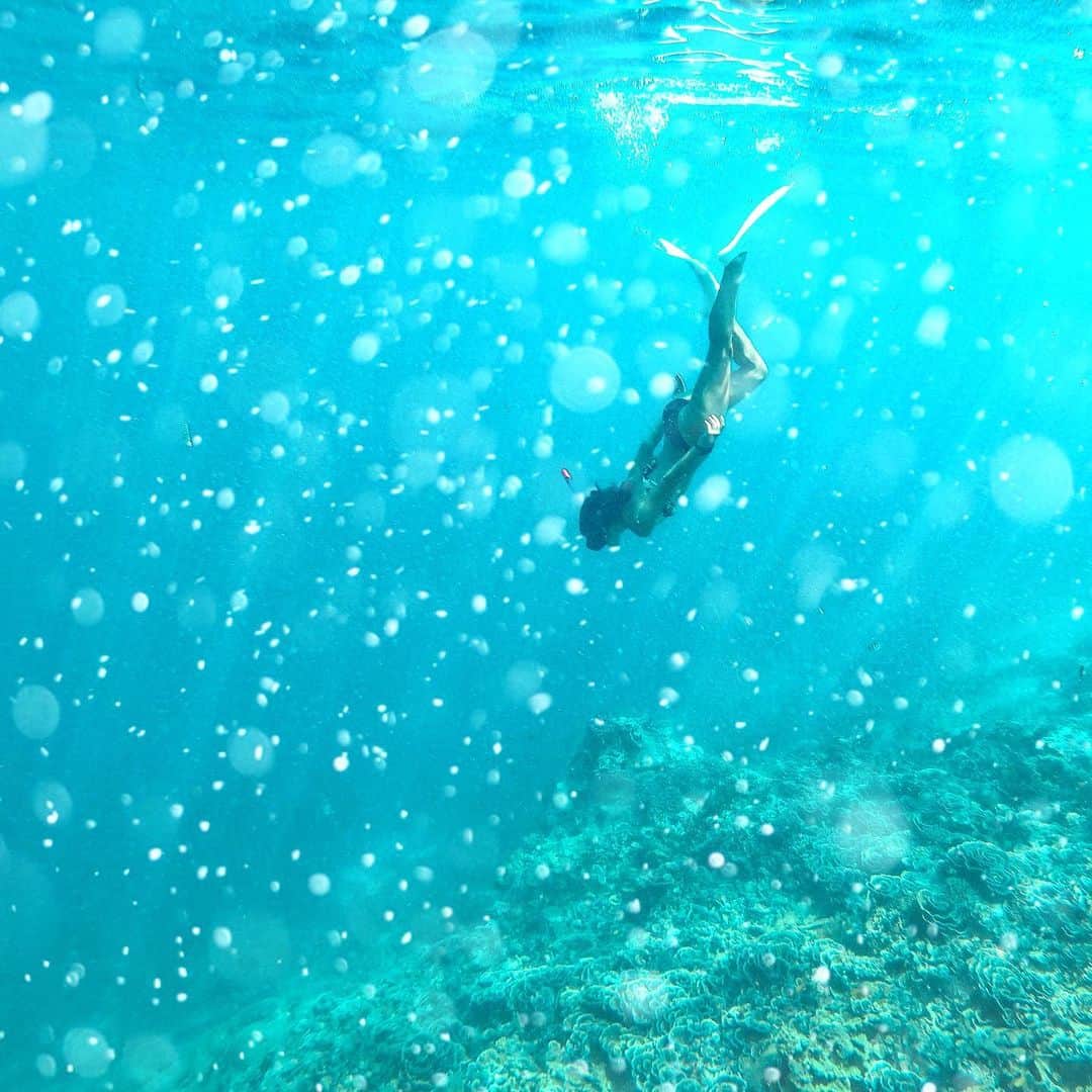 wacameraのインスタグラム：「Mermaid @annararo  Those days seems like yesterday... グレートバリアリーフを泳いだときより美しく感じたギリ島の海。海亀や熱帯魚を見ながら優雅に泳ぐ彼女を撮影する私は、カメラとシュノーケルの不具合でアップアップしてました😂この水、かなりしょっぱかったし。」