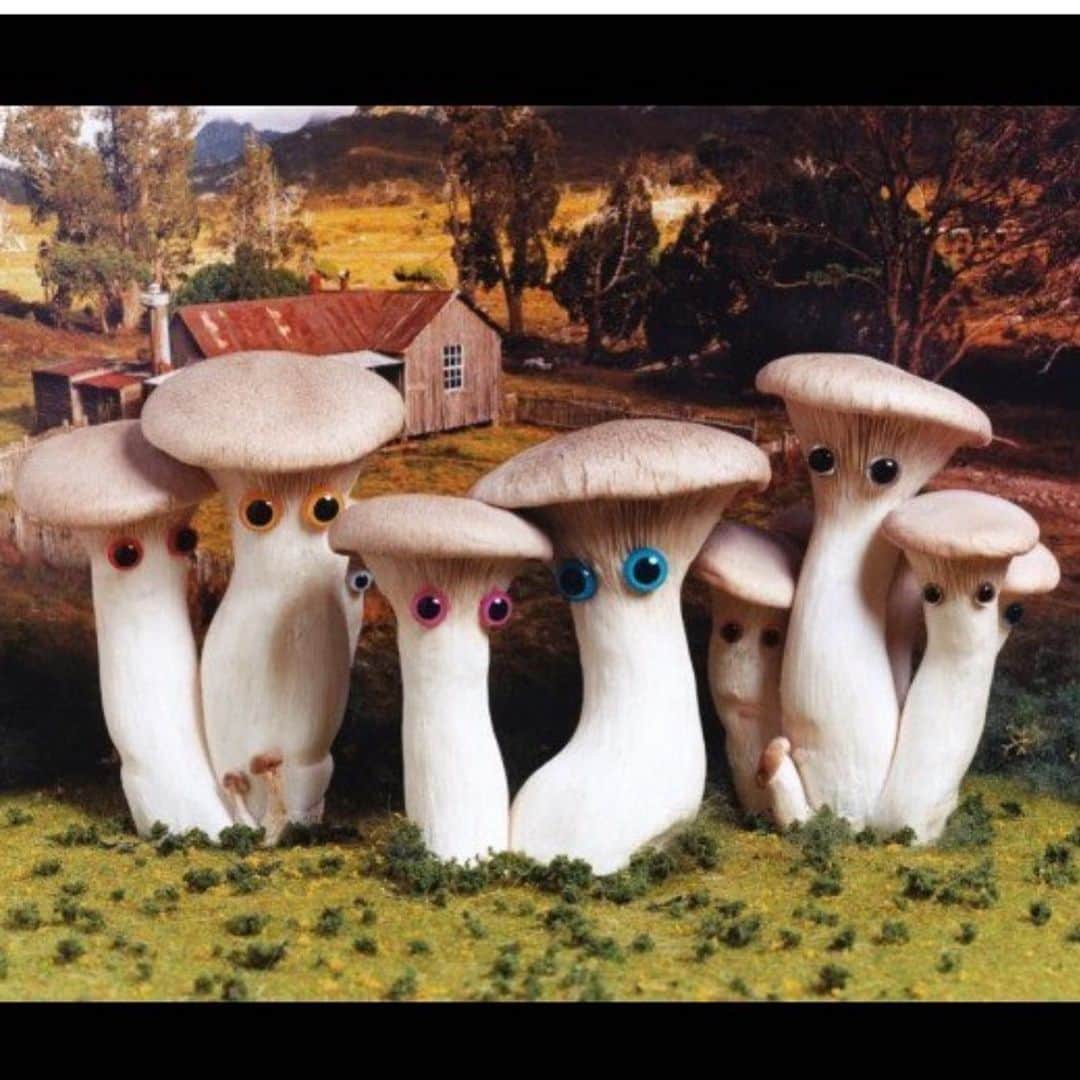 エイミー・セダリスさんのインスタグラム写真 - (エイミー・セダリスInstagram)「#Thursdee @bittycar #mushrooms」8月29日 22時34分 - amysedaris