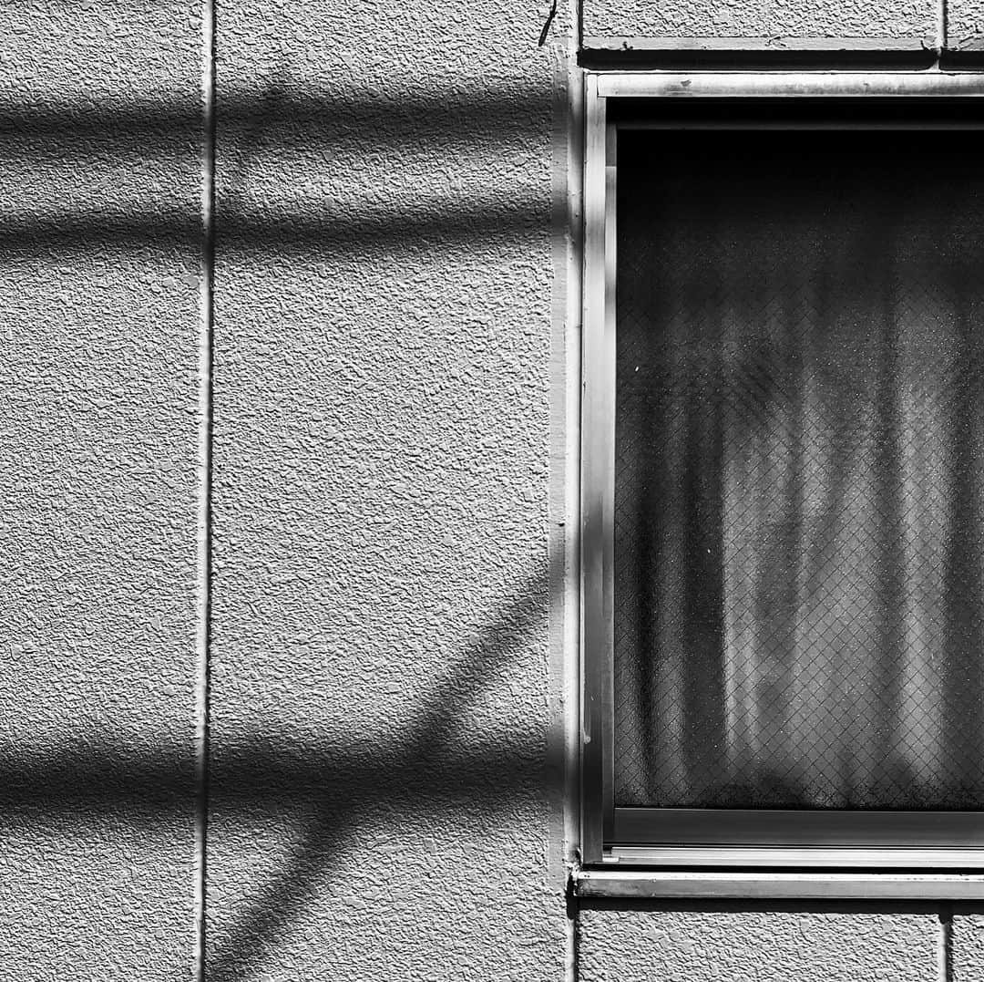 naotakeのインスタグラム：「窓 - A window / iPhone XR + Snapseed, 20190830 . . 昨晩の食べすぎて今日は半日気持ち悪かった（猛省）。 . . #royalsnappingartists #infamous_family #rsa_main #infinity_photo_cult #2_fineart #jp_gallery #jp_gallery_bnw #trb_bnw #wp_bnw  #bnw_life #bnwlife_member #bnw_life_shots #bnw_captures #world_bnw #top_bnw #team_jp_ #team_jp_モノクロ #ig_energy_bw #ig_nihon #streetphotographybnw #igersjp #blackandwhite #bnw #bnwphoto #monochrome #bw #bnwphotography #ShotOniPhone #shotoniphoneXR」