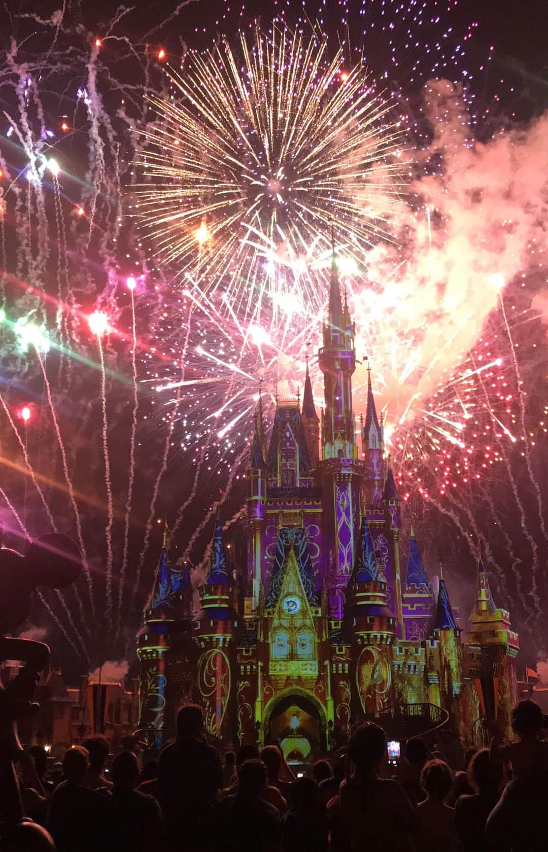 tiahy__のインスタグラム：「フロリダディズニー旅行のMagickingdom での最大の目的だったのがナイトショー「Happily Ever After」  おとぎ話の最後にある「いつまでも幸せに暮らしましたとさ」の前半の「いつまでも幸せに」の部分です。  幸せがこの中に全て詰まっていて、 自然と涙が溢れました。。 10分ほどありますが、ほぼフルですので、ぜひみてみてください。  画面が全て埋まるほどの花火、さすがアメリカ🇺🇸最後はスケールの大きさが圧巻です！ ぜひスマートフォンの画面の明るさを一番明るくしてみてください☺️✨🥰」