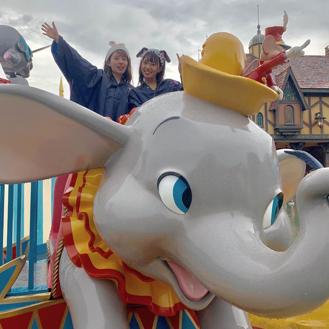 のインスタグラム：「#disney 🐘♥️♥️♥️」