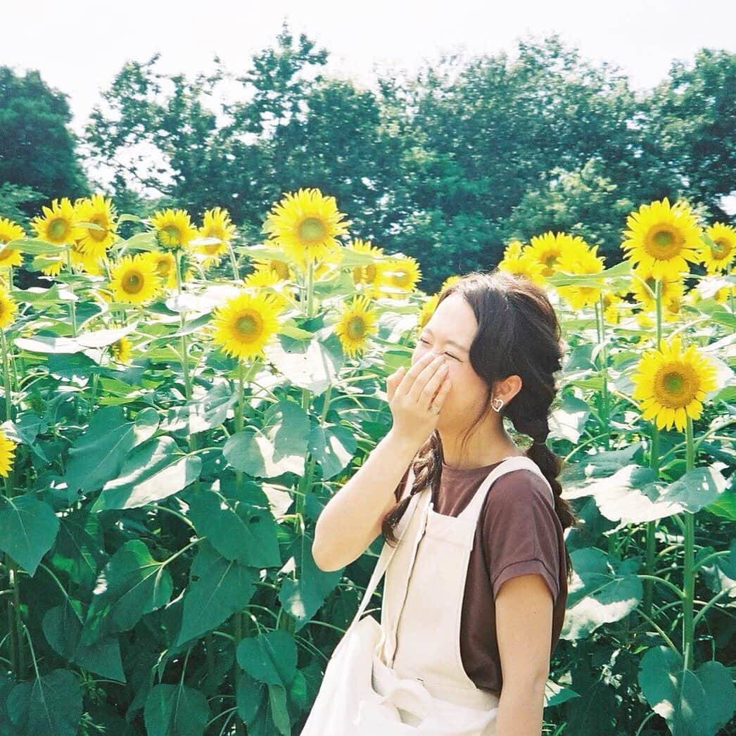 haruさんのインスタグラム写真 - (haruInstagram)「ㅤㅤㅤㅤㅤㅤㅤㅤㅤㅤㅤㅤㅤ ㅤㅤㅤㅤㅤㅤㅤㅤㅤㅤㅤㅤㅤ ㅤㅤㅤㅤㅤㅤㅤㅤㅤㅤㅤㅤㅤ #ひまわり畑 🌻𓂃 𓈒𓏸 ㅤㅤㅤㅤㅤㅤㅤㅤㅤㅤㅤㅤㅤ かほちゃん ( @xxokohakxx )との☺💕 ㅤㅤㅤㅤㅤㅤㅤㅤㅤㅤㅤㅤㅤ たくさん載せたいのありすぎる🥺🧡( 笑 ) ㅤㅤㅤㅤㅤㅤㅤㅤㅤㅤㅤㅤㅤ 前に あな番ののせてほしかったって 言ってくださった方いたので 載せちゃいました🤣💓 このストーリーたくさん反応きて嬉しかったです☺💗！ ㅤㅤㅤㅤㅤㅤㅤㅤㅤㅤㅤㅤㅤ かほちゃんがとってくれるフィルムカメラ すっごく素敵だな〜🥺💕本当に本当にありがとう☺💓 ㅤㅤㅤㅤㅤㅤㅤㅤㅤㅤㅤㅤㅤ ㅤㅤㅤㅤㅤㅤㅤㅤㅤㅤㅤㅤㅤ ハイタッチは謎すぎるけど好き🤣🧡( 笑 ) ハイライトは かほちゃんのワンピがヤギに食べられたこと😂☜﻿ ㅤㅤㅤㅤㅤㅤㅤㅤㅤㅤㅤㅤㅤ #成田ゆめ牧場#ひまわり#向日葵#sunflower ㅤㅤㅤㅤㅤㅤㅤㅤㅤㅤㅤㅤㅤ」8月29日 22時18分 - __haru3