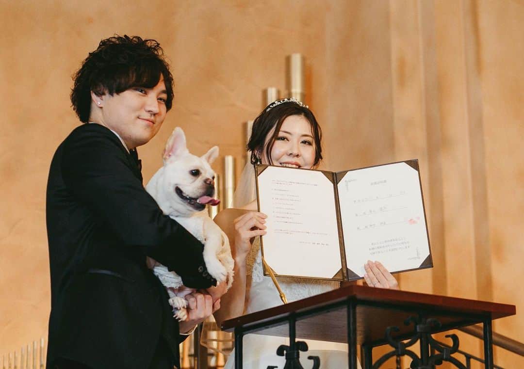 ヴィラデマリアージュさいたまさんのインスタグラム写真 - (ヴィラデマリアージュさいたまInstagram)「—Party Report—﻿ ﻿ ”with Lattte”﻿ Yuki & Asami's mariage ﻿ ﻿ お2人の大切な家族である﻿ 愛犬らてちゃん﻿ ﻿ そんならてちゃんと一緒に叶える﻿ アットホームな結婚式の一日を彩ったのは﻿ お二人の大好きな映画﻿ 「トワイライト」でした﻿ ﻿ ﻿ 控室では大切な家族のらてちゃんもいつも一緒﻿ 挙式前の緊張も和らげてくれました﻿ ﻿ アットホームな挙式になるよう﻿ 人前式を選ばれたお2人﻿ ﻿ 挙式ではらてちゃんにお2人のリングを運んでもらう﻿ 「リングドッグ」をしてもらいました﻿ ﻿ 大好きな新郎様の元に指輪を届けるらてちゃんの姿に ﻿ ゲストの皆様も笑顔で溢れました﻿ ﻿ また  結婚証明書の記入はらてちゃんも参加﻿ ﻿ 肉球でお2人の署名の横にスタンプを押すと ﻿ ゲストから「可愛い～！」という歓声﻿ ﻿ ﻿ 大切な家族と共に叶えた﻿ Bon Mariages!﻿ ﻿ ﻿ #villasdesmariages#ヴィラデマリアージュ#ヴィラデマリアージュさいたま#結婚式レポート#結婚式場#ウェディング#wedding#ブライダルフェア ﻿ #式場見学#大宮結婚式場#結婚式場探し#式場探し#南フランス﻿ #ウェディングネーム#weddingname#コンセプトウェディング#プレ花嫁#プレ花嫁準備#プレ花嫁さんと繋がりたい#卒花嫁#卒花嫁レポ#卒花嫁さんと繋がりたい#さいたま#さいたま結婚式場」8月29日 13時45分 - villas_des_mariages_saitama