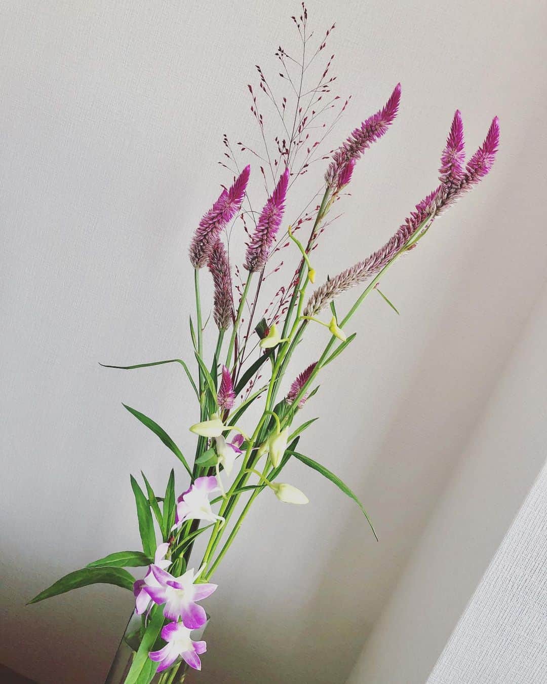 純名里沙さんのインスタグラム写真 - (純名里沙Instagram)「久しぶりのお花シリーズ💐 やっぱり、お部屋にお花を飾ると気持ちが違う。。🍀 ・ でも、今までの写真を見ると、姿形は違えどもこの色味が好きみたい。。不思議です（笑） ・ #お花 #flower #癒される」8月29日 14時18分 - risajunna3158