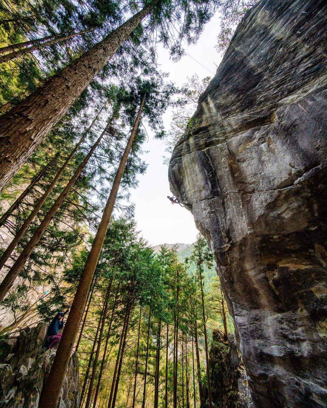 クリス・バーカードのインスタグラム：「If there is one thing I learned in Japan it is that they have a deep appreciation for trees. I tried to consider this when creating this image. Taking into account the things an everyday person might appreciate if they came upon it. @chris_sharma shot for @prana this spring.」