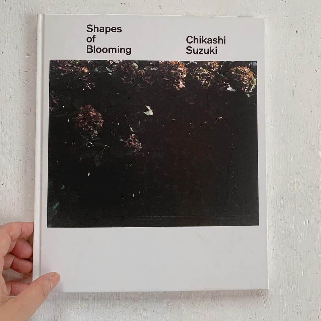 OKAさんのインスタグラム写真 - (OKAInstagram)「Shapes of Blooming  #鈴木親 #ChikashiSuzuki」8月29日 15時42分 - ytrpics