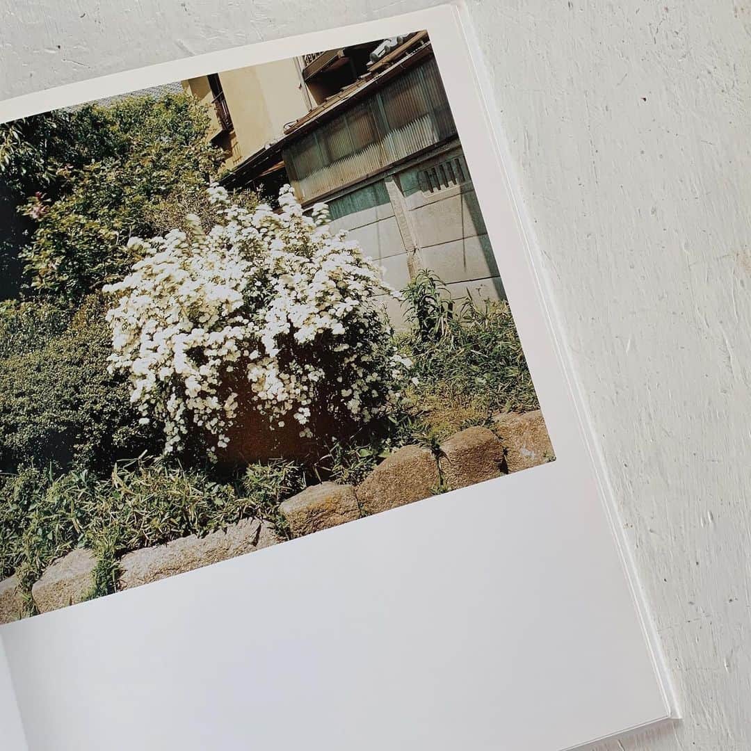 OKAさんのインスタグラム写真 - (OKAInstagram)「Shapes of Blooming  #鈴木親 #ChikashiSuzuki」8月29日 15時42分 - ytrpics