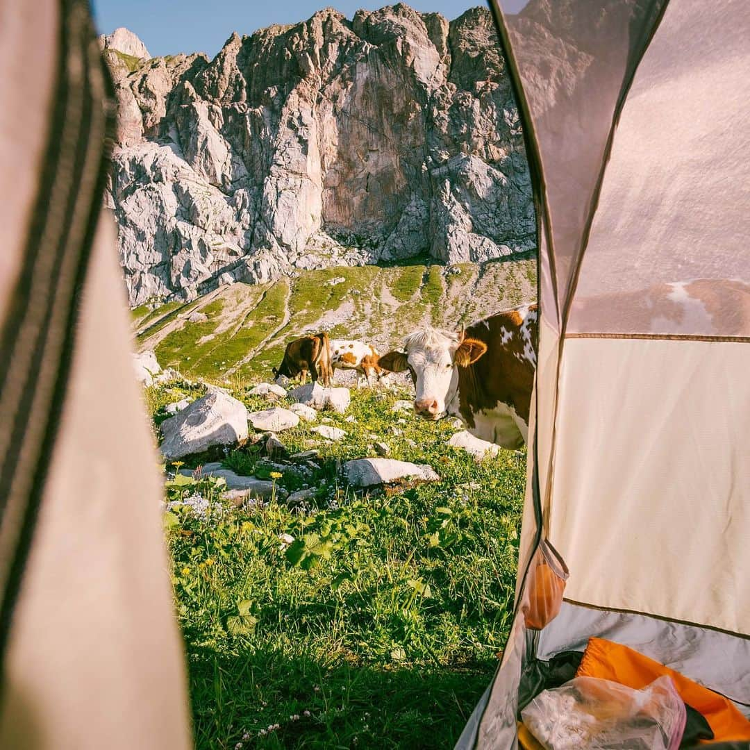 バーバラ・ザンガールさんのインスタグラム写真 - (バーバラ・ザンガールInstagram)「„Zeit zum Atmen“ is one of those alpine climbs, I always wanted to do. Pio Jutz opened this route in 2002 at the „Rote Wand“ / Arlberg region. Glad we made it to the top yesterday, together with @jacopolarcher ! What a day/What a line!!!! Thanks Pio! ••••••••••••••••••••••••• 7-pitches: 7c,8a,8a+,7c+,7c,8b,8b/+ FFA Jörg Andreas, second FA Amann Mark」8月29日 15時55分 - babsizangerl