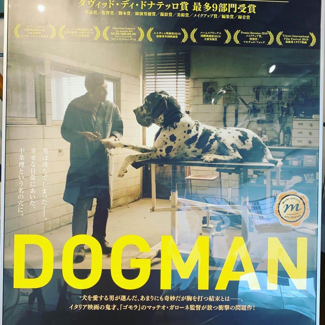 松尾諭のインスタグラム：「痺れた。 だがどうしてものび太とジャイアンが頭をよぎった。 #ドッグマン #のび太とジャイアンの最悪の結果」
