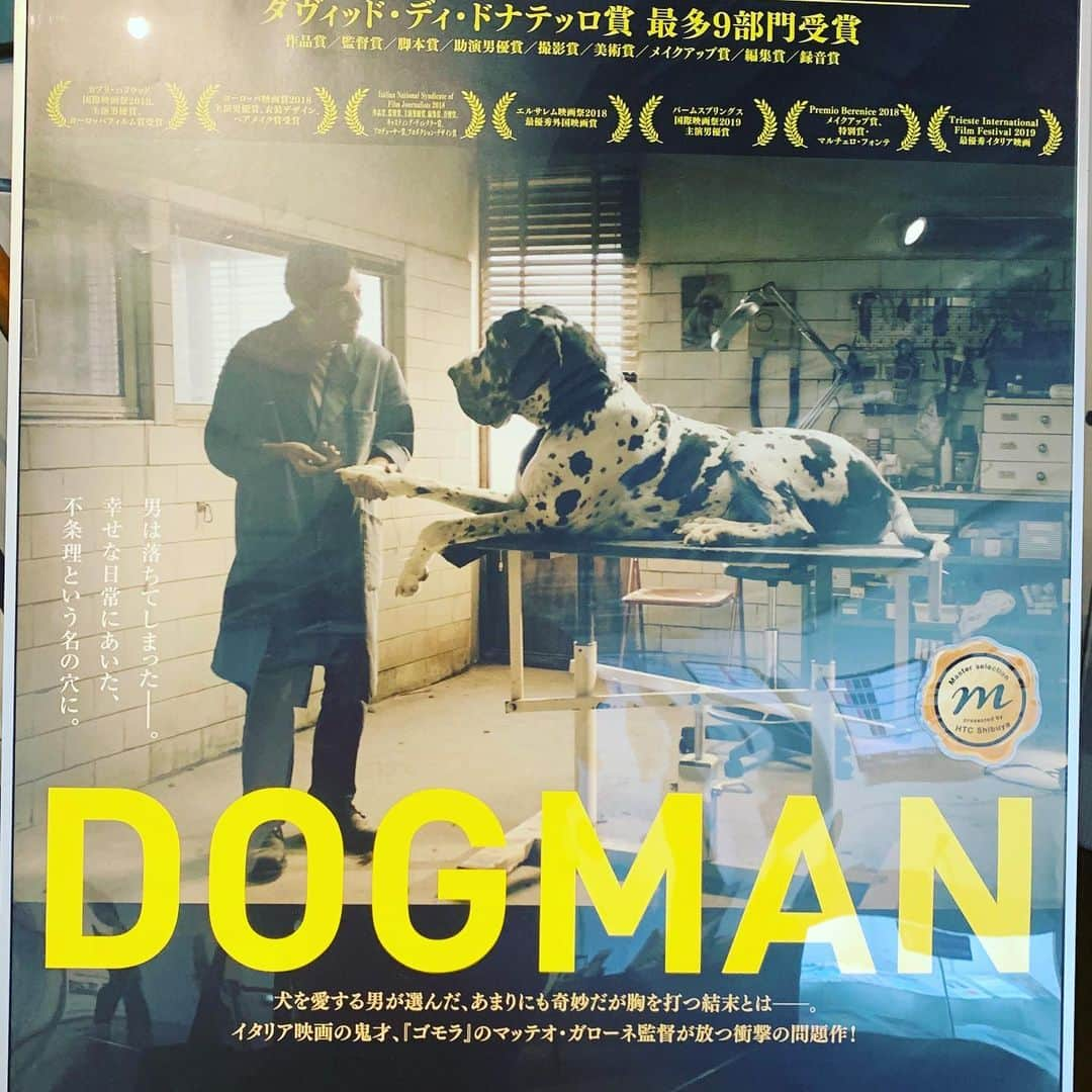 松尾諭さんのインスタグラム写真 - (松尾諭Instagram)「痺れた。 だがどうしてものび太とジャイアンが頭をよぎった。 #ドッグマン #のび太とジャイアンの最悪の結果」8月29日 16時17分 - satoru_matsuo