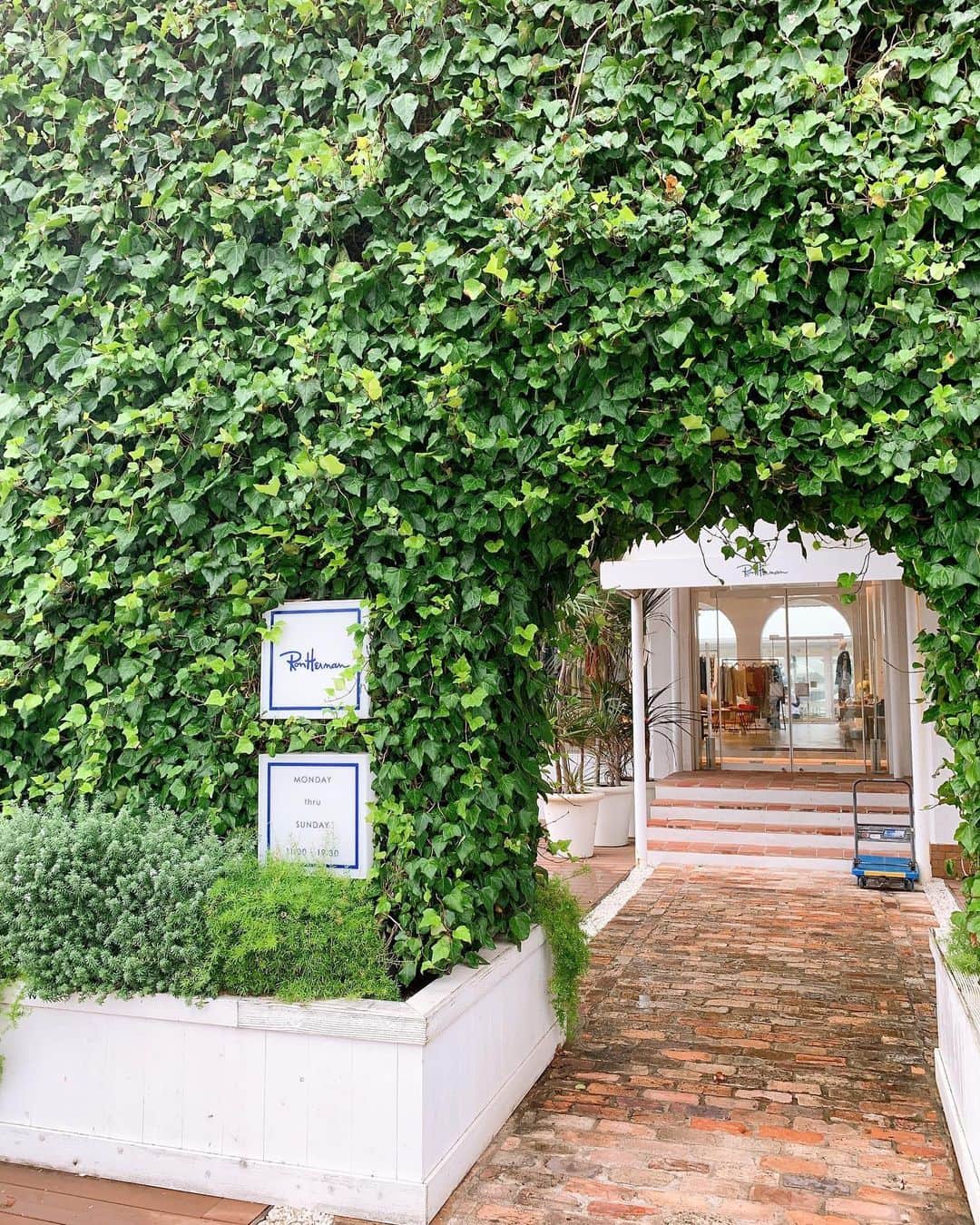 相沢礼子のグルメインスタ