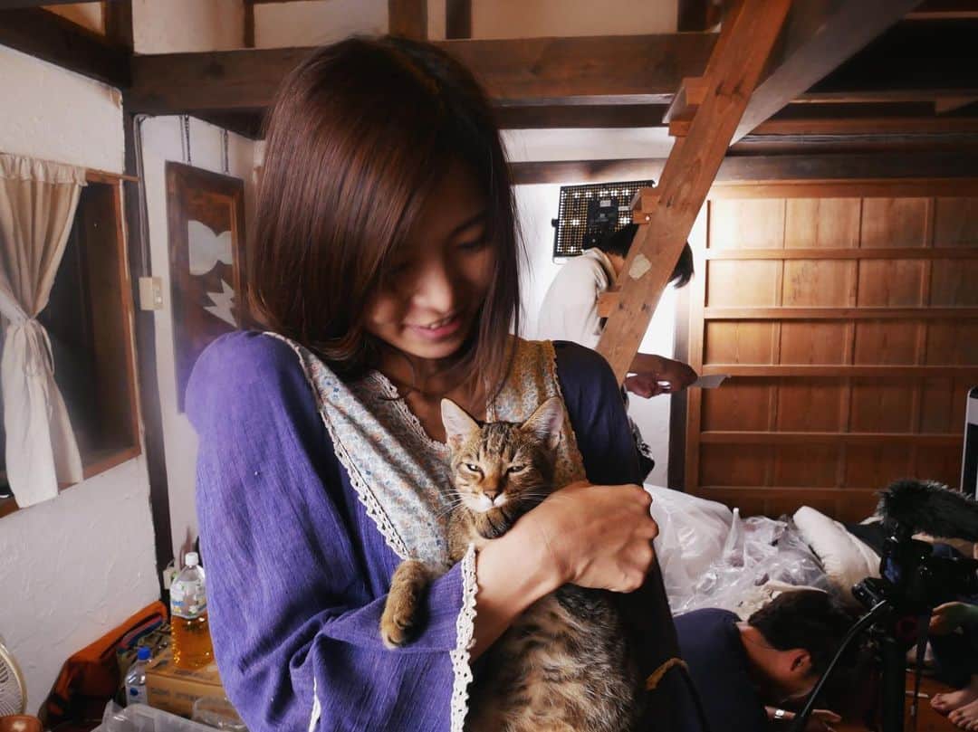 やながわみほさんのインスタグラム写真 - (やながわみほInstagram)「現場に遊びに来ていた子猫と戯れました(*´ω｀*) でもちりおにはまだまだかないませんな。笑 #ロケ #子猫」8月29日 22時43分 - yanagawa_miho