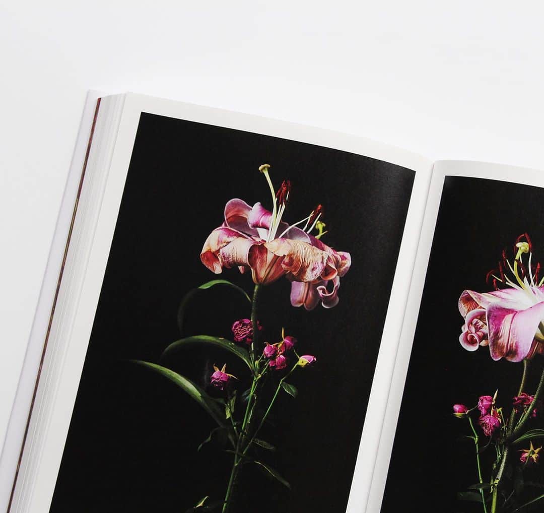 haconiwa / 箱庭さんのインスタグラム写真 - (haconiwa / 箱庭Instagram)「フラワーアーティストの東 信氏とボタニカル・フォトグラファー椎木俊介氏の「植物図鑑」シリーズ最新刊をご紹介します。 ただただ美しく、植物たちの生命の力強さ、儚さを感じます。何気ない日常でふと眺めたくなる１冊ですよ。﻿ ﻿ #植物図鑑#東信#椎木俊介#花#青幻舎#フラワーアーティスト#ボタニカルフォトグラファー」8月29日 17時31分 - haconiwa_mag