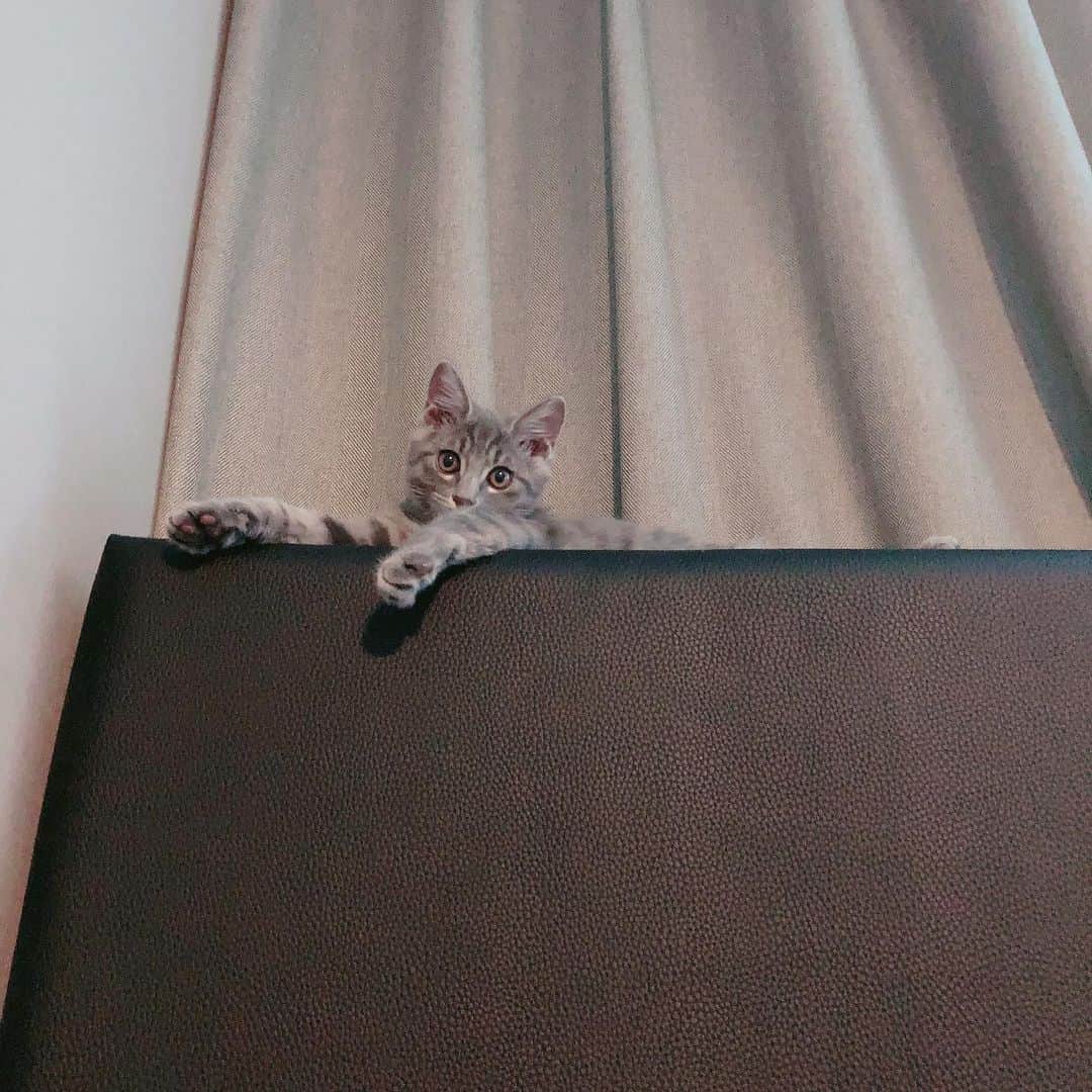 サニー のインスタグラム：「아쮸?!?!」