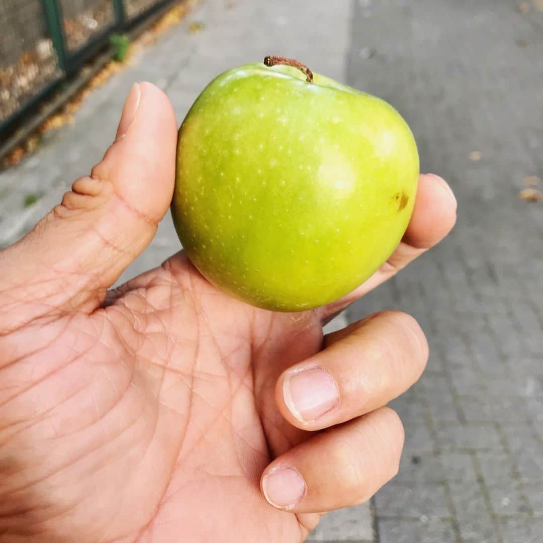 棚橋弘至さんのインスタグラム写真 - (棚橋弘至Instagram)「練習前に #青リンゴ 🍏 #London #隠れますかけ線」8月29日 17時58分 - hiroshi_tanahashi