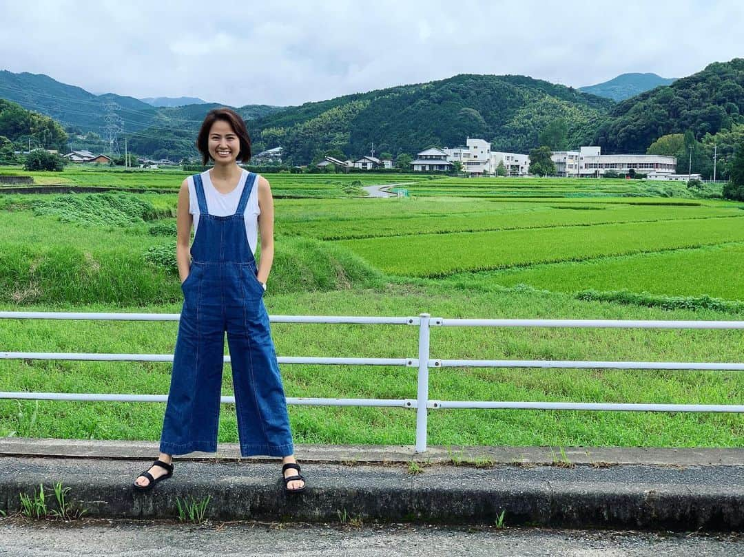 新谷あやかさんのインスタグラム写真 - (新谷あやかInstagram)「ただいまーー！！ ・  私が通ってた小学校の通学路。 ・  田んぼの匂いが懐かしかー。ここに来ると、田んぼの中のタニシをどこまで飛ばせるか競っとったのを思い出す。 ・  縁石から落ちちゃダメかけっこしとったの思い出す。 ・  下校中にある公民館で、公民館のおばちゃんに、麦茶一杯もらってから帰っとったの思い出す。 ・  よーくよく、喧嘩しよったねー。 ・  なんもなかー！！！！！笑 ・  #新谷あやか #しんやあやか  #shinyaayaka  #ふるさと #故郷 #福岡 #福岡出身 #fukuoka  #筑紫野市 #福岡好き」8月29日 18時13分 - shinya.ayaka