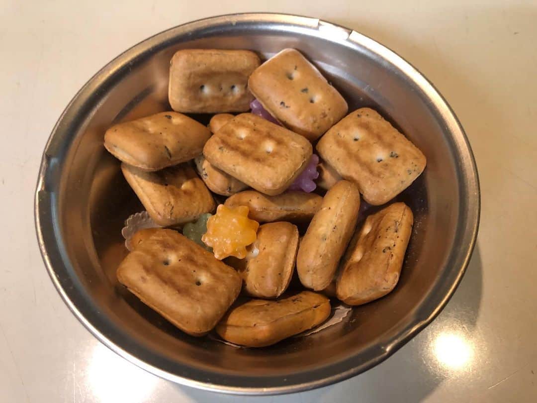 のインスタグラム：「おやつ...🍪 珈琲と合うな☕️ #乾パン #starbucks」